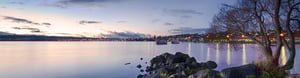 Taupo Banner